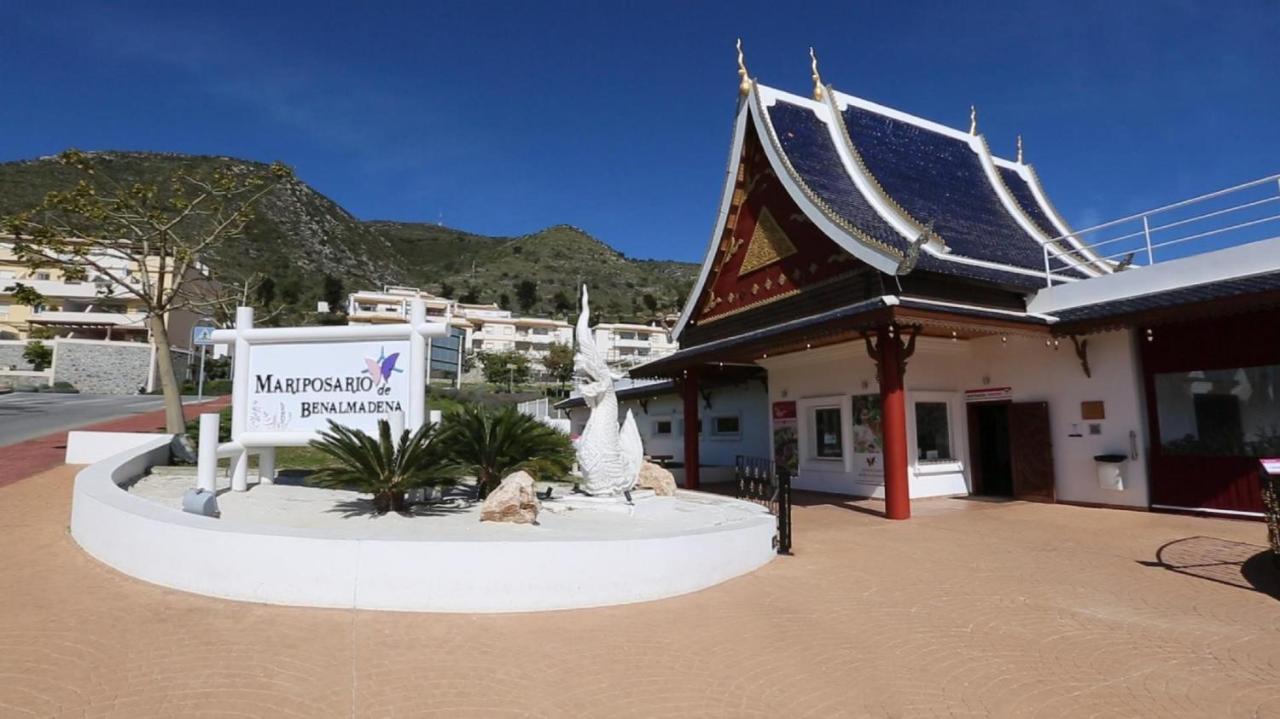 Vive Benalmadena Estudio Benal Beach 1-02 Frontal Al Mar Bagian luar foto